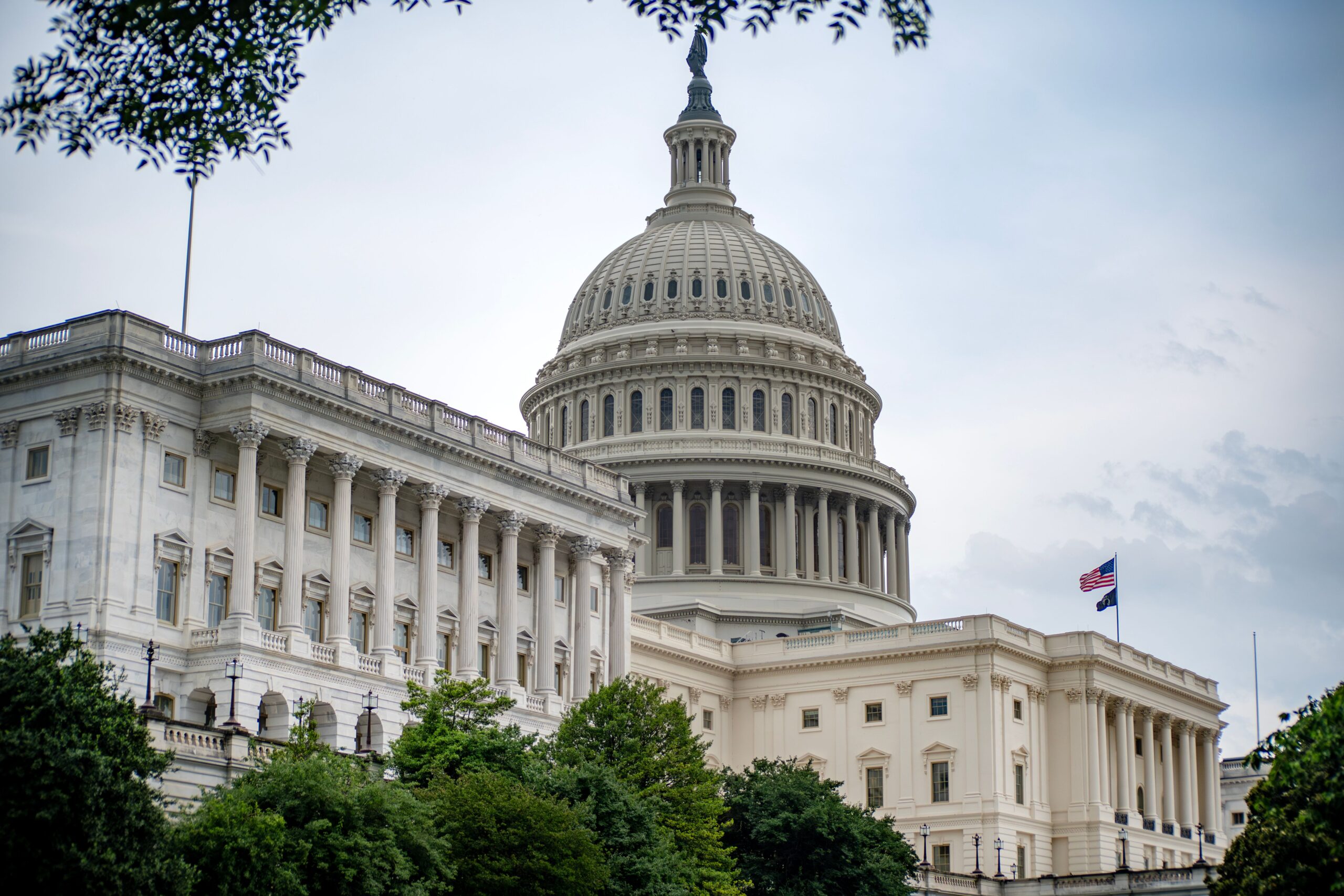 American flag waving or U.S. Capitol building