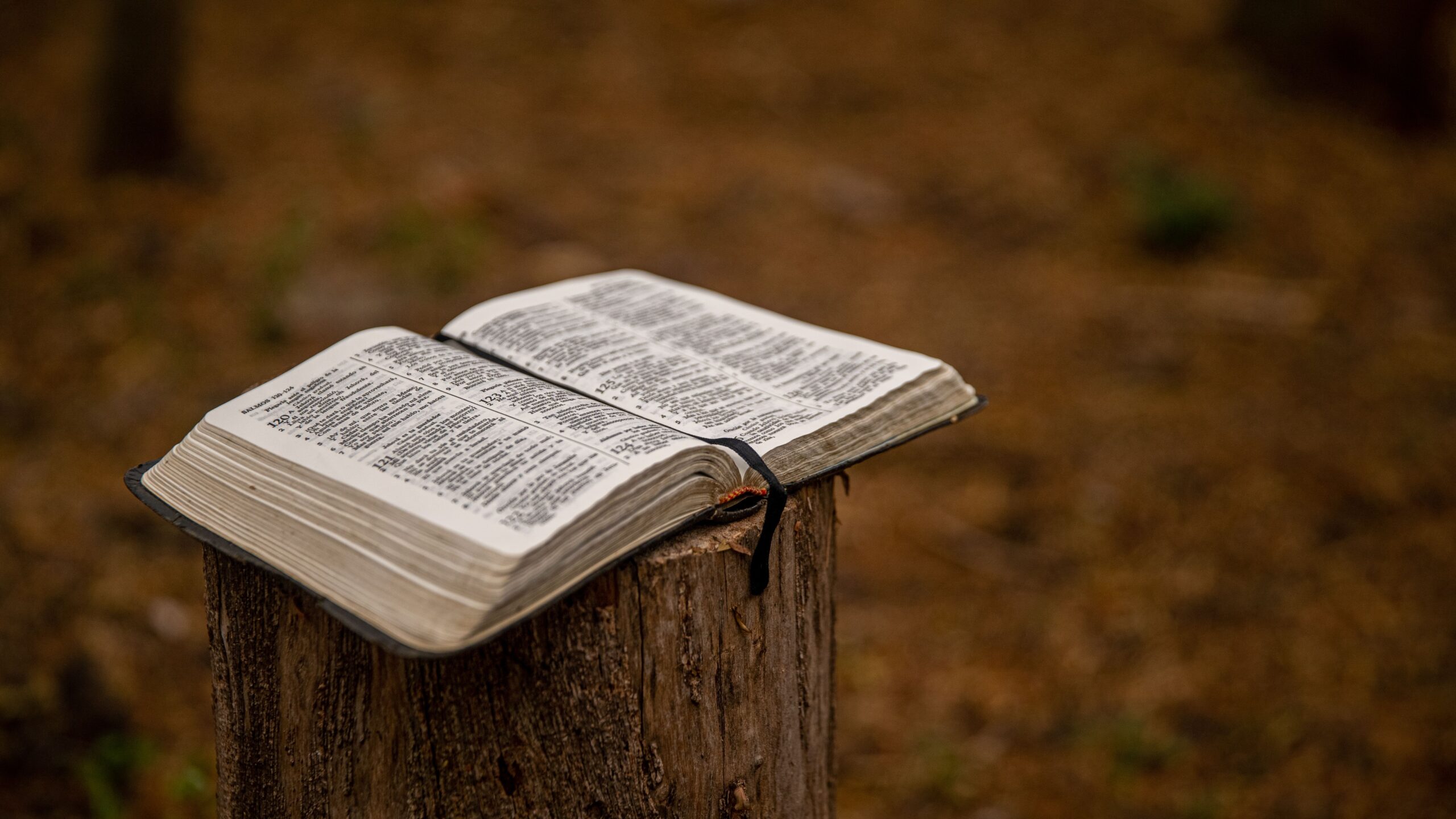 Open scriptures or books representing prophetic teachings